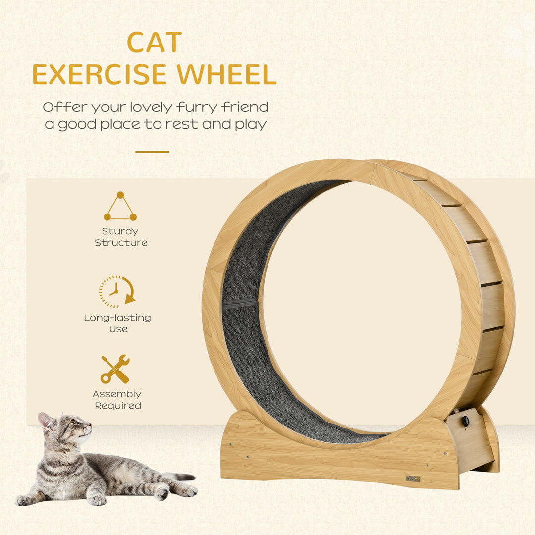 Cat Treadmill