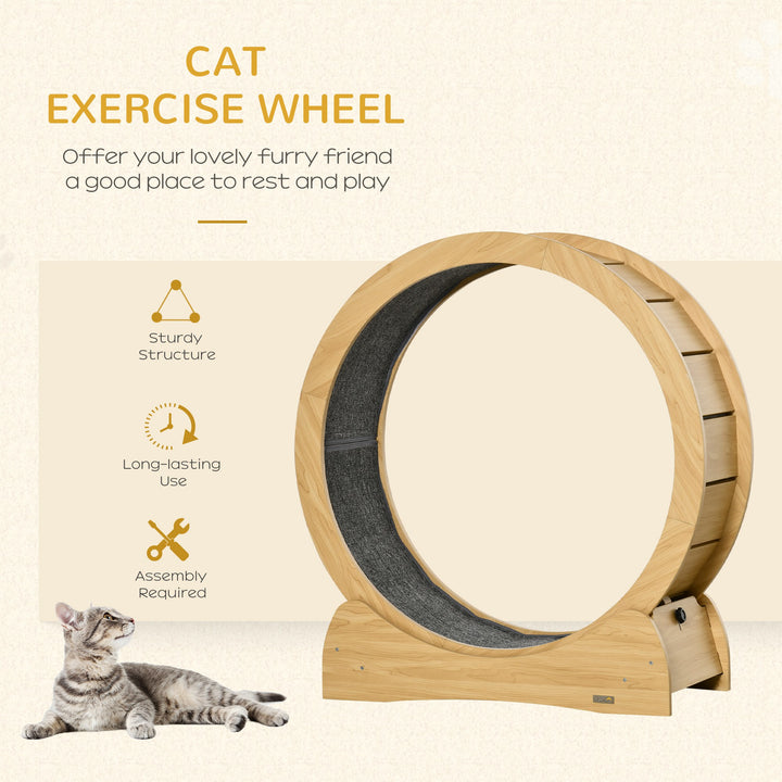 Cat Treadmill