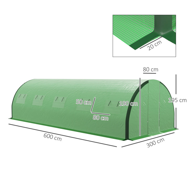 Polyethylene Upgraded Structure Walk-in Polytunnel Greenhouse