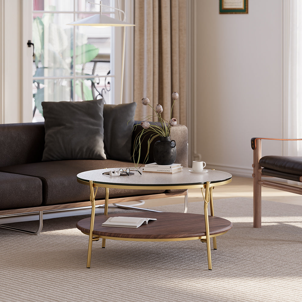 Glass Top Double-Layered Coffee Table with Metal Frame and Wood Layer