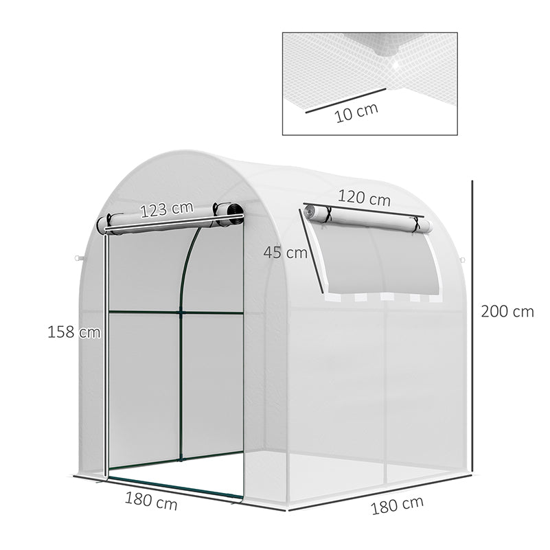 Walk in Polytunnel Greenhouse