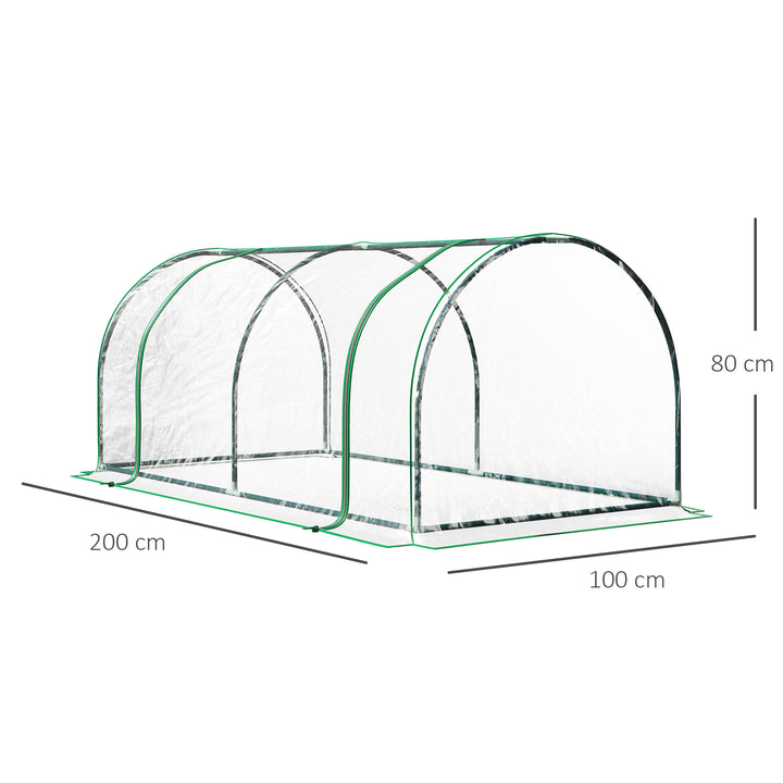 Transparent Grow House: Steel-Framed Tunnel Greenhouse with PE Cover