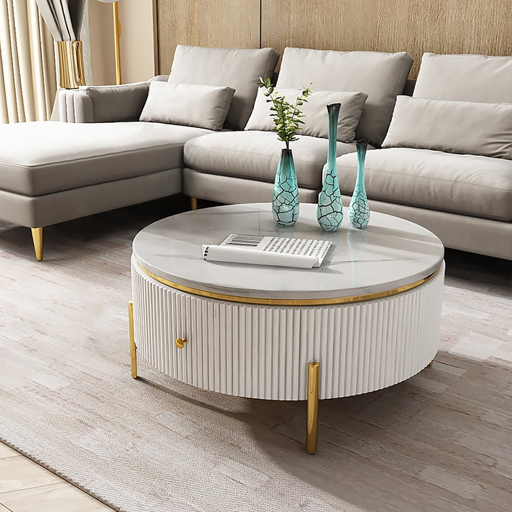 Yelly Modern Round Coffee Table with Storage Sintered Stone Accent Table Stainless Steel in Gold