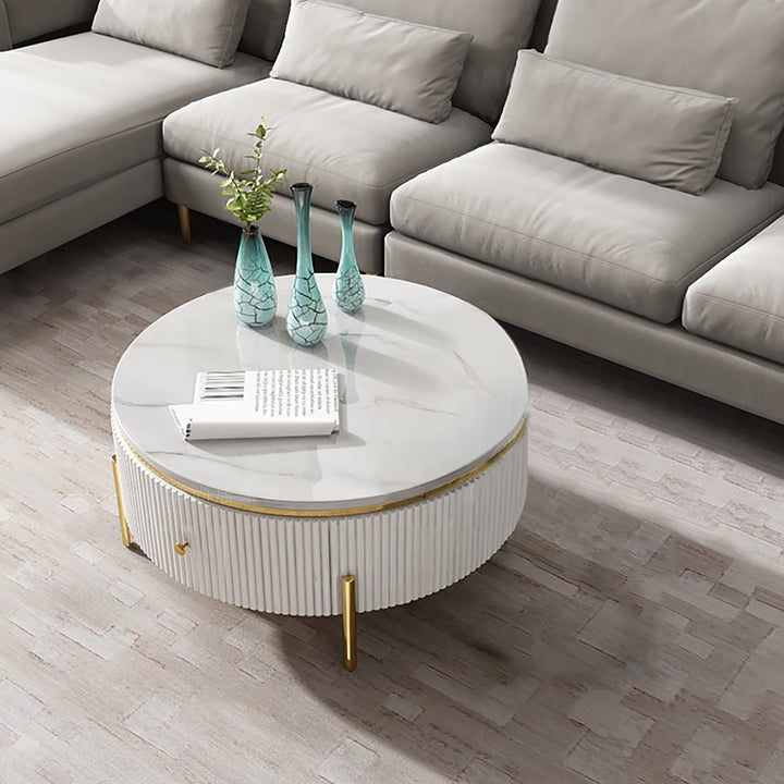 Yelly Modern Round Coffee Table with Storage Sintered Stone Accent Table Stainless Steel in Gold