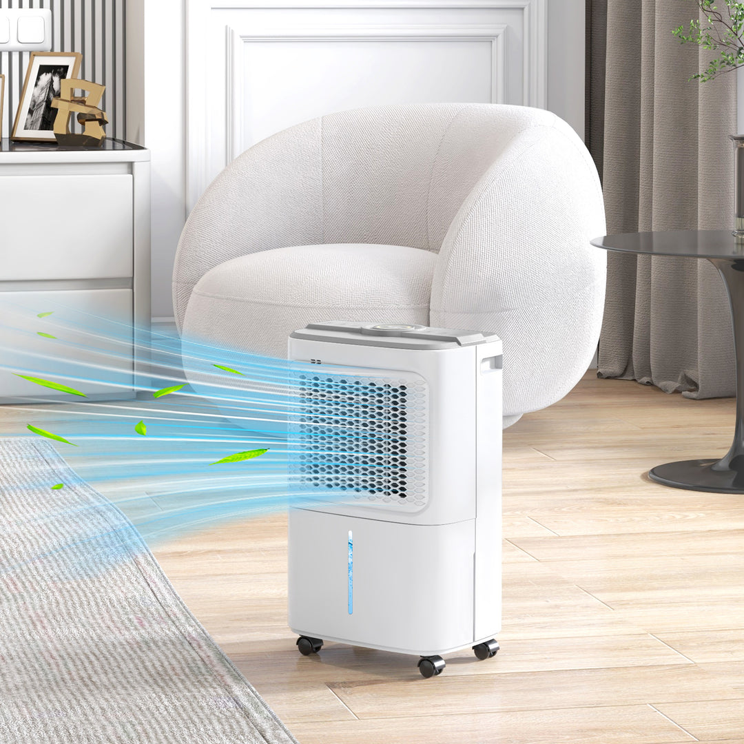 12L/Day Air Purifier Dehumidifier with Continuous Drainage