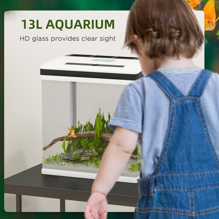 13L Glass Aquarium Fish Tank with Filter