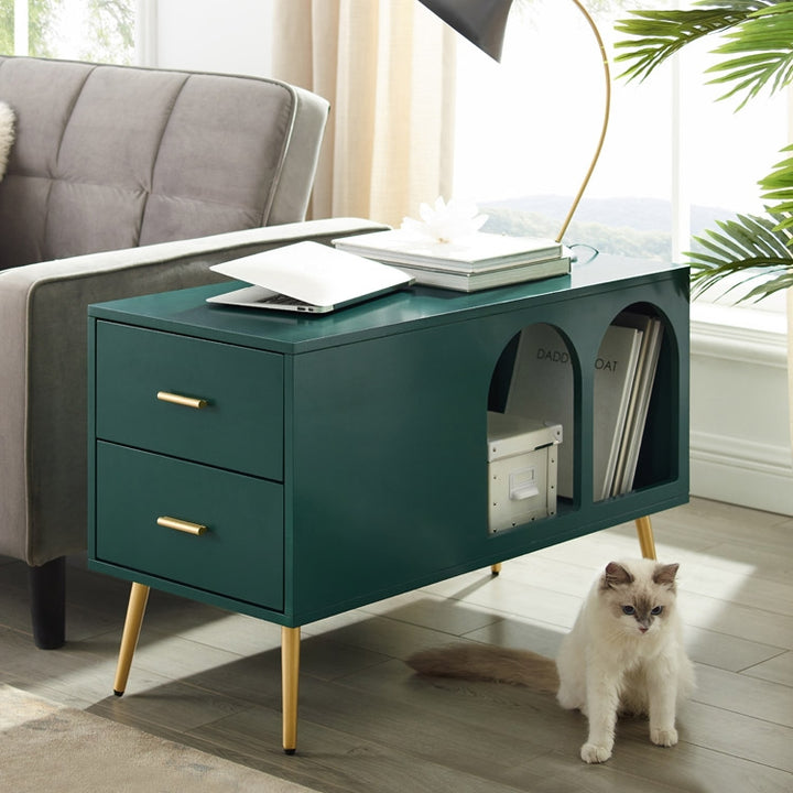 Narre Green End Table with Storage Living Room Side Table 2 Drawer & Open Storage