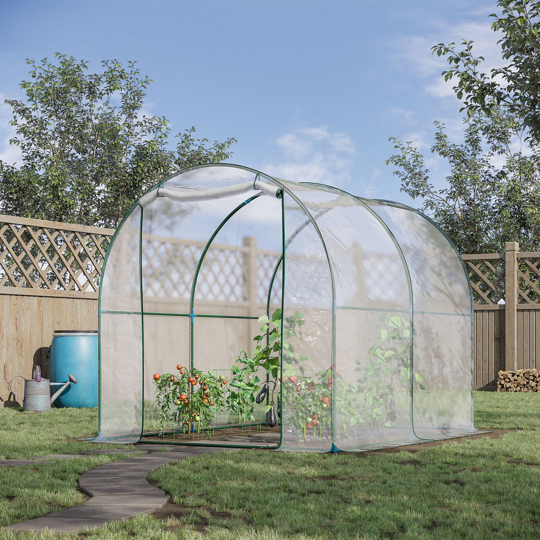 Walk-in Polytunnel Greenhouse with Roll-up Door Transparent Tunnel Greenhouse with Steel Frame and PVC Cover