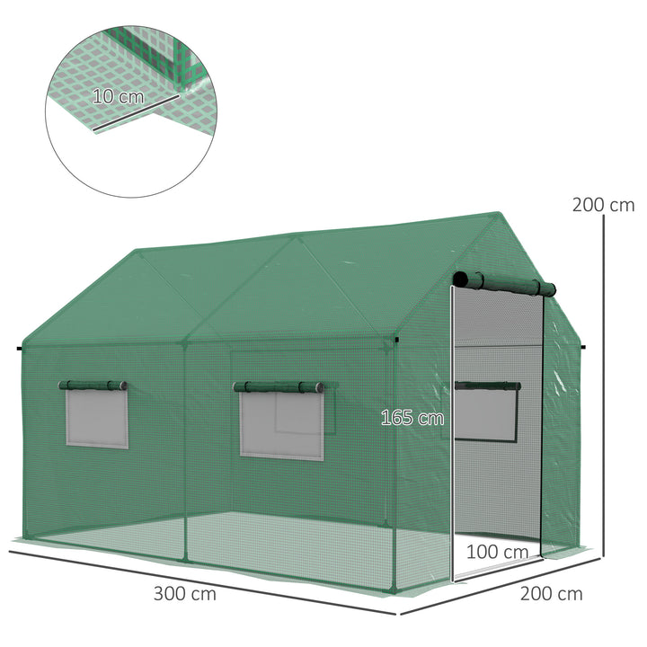 Polyethylene Walk-in Polytunnel Greenhouse