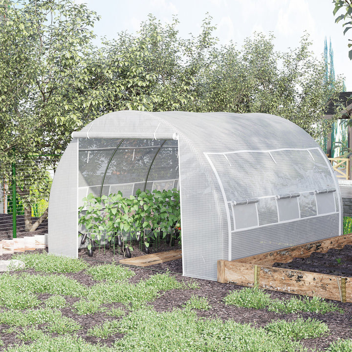 3 x 3 x 2 m Polytunnel Greenhouse