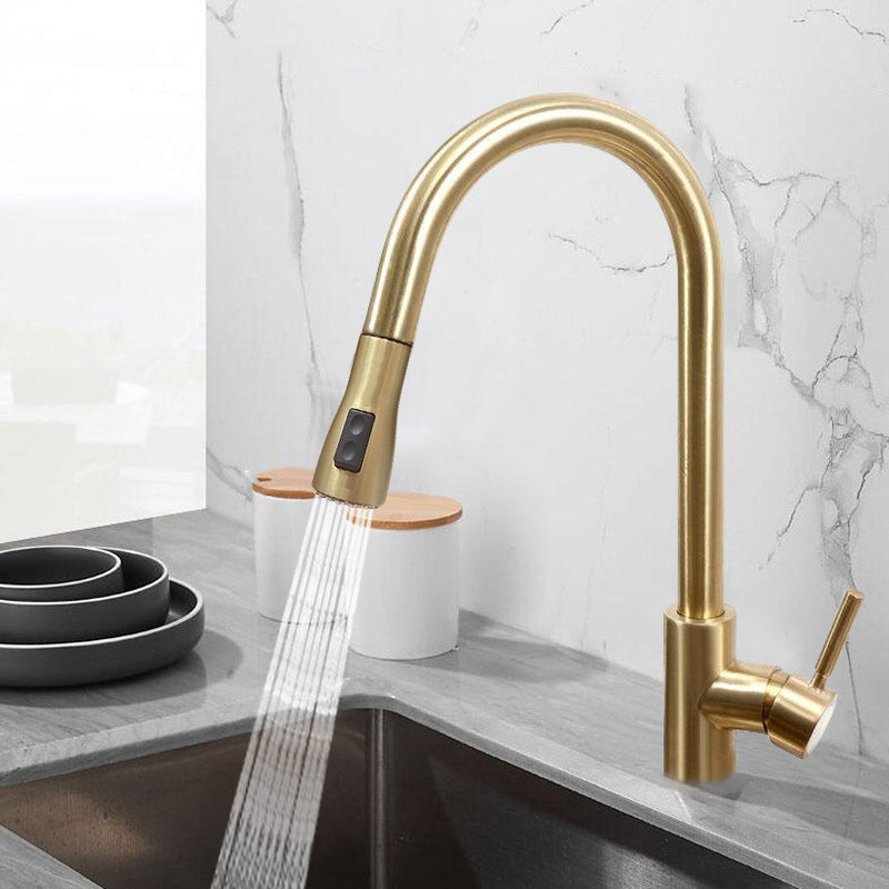 Pull Out Kitchen Tap Brushed Gold with Dual Function Sprayer