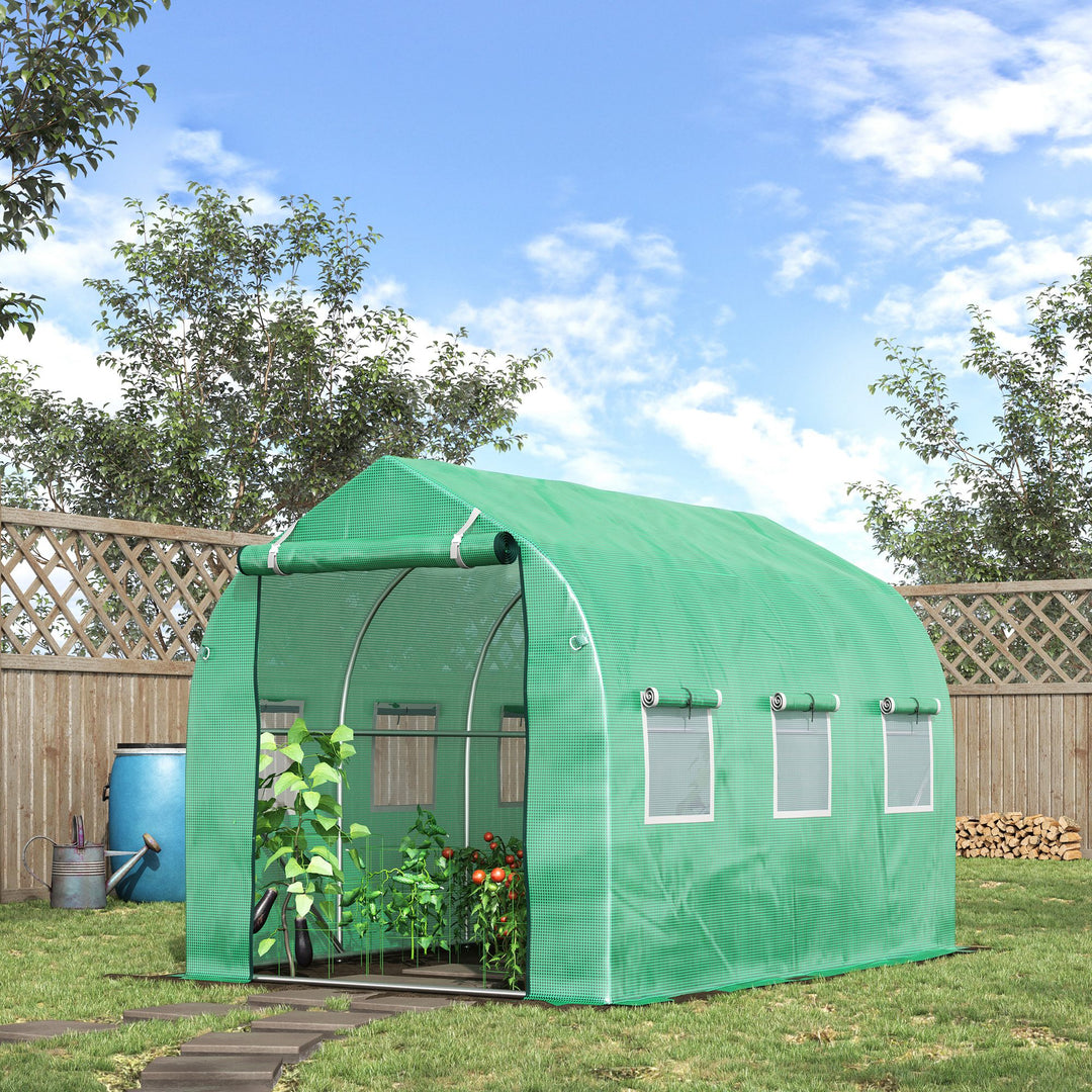 Walk in Polytunnel Greenhouse with Windows and Door for Garden