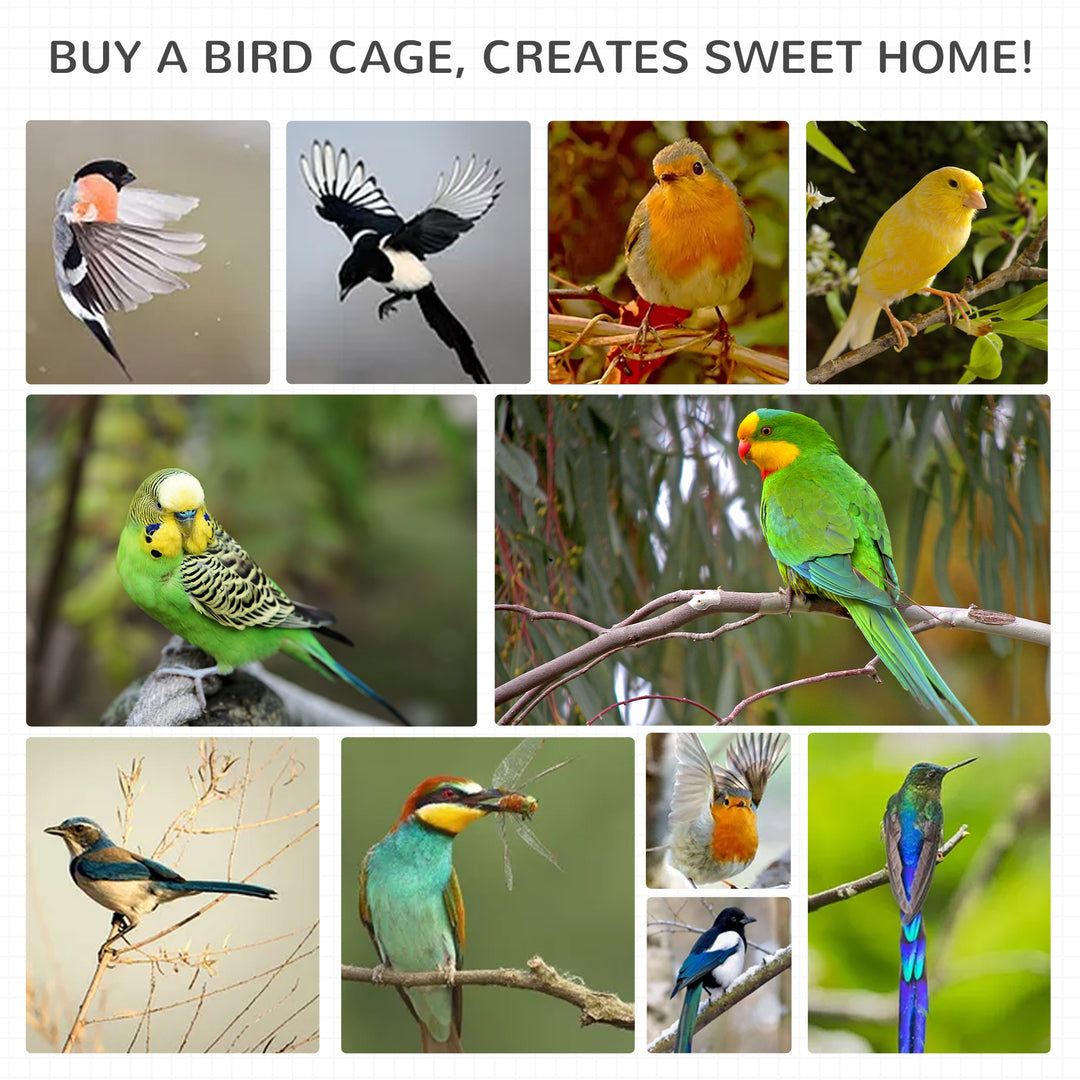 Wooden Outdoor Bird Cage