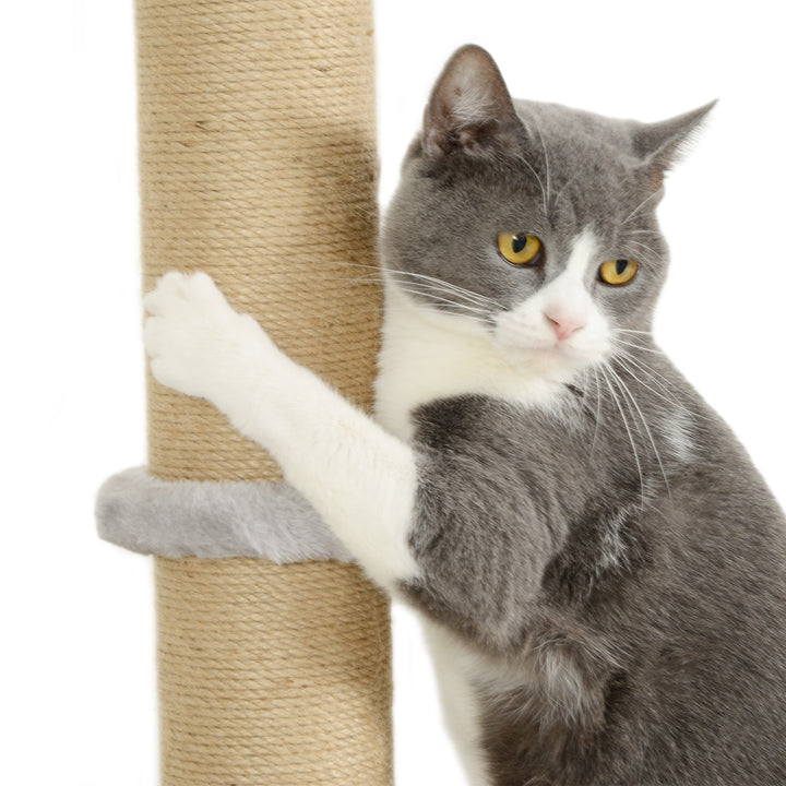 Cat Shelves w/ Scratching Post