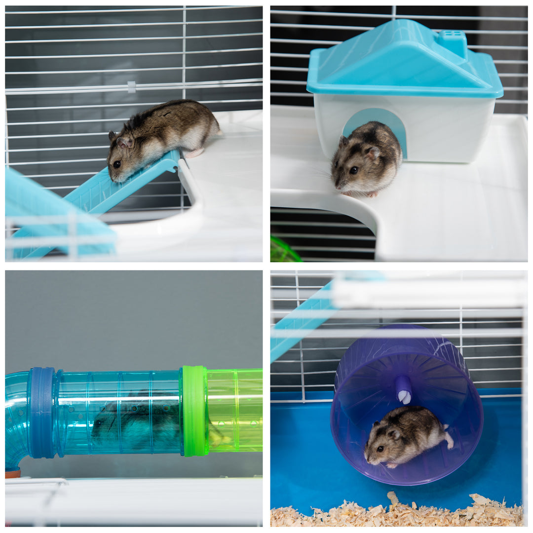 Large Hamster Cage with Accessories