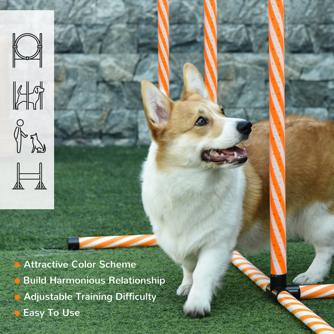 Dog Agility Training Kit