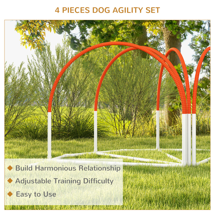 Dog Agility Gear