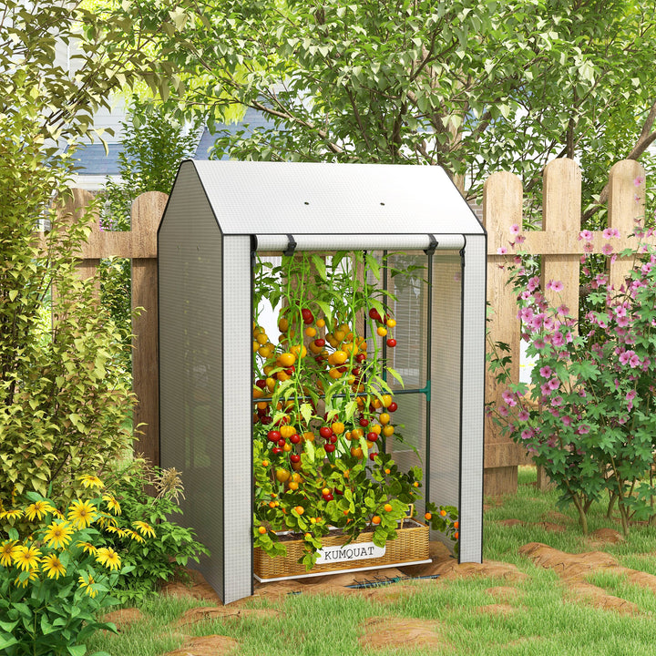 Mini Greenhouse with 4 Wire Shelves Portable Garden Grow House Upgraded Tomato Greenhouse with Roll Up Door and Vents