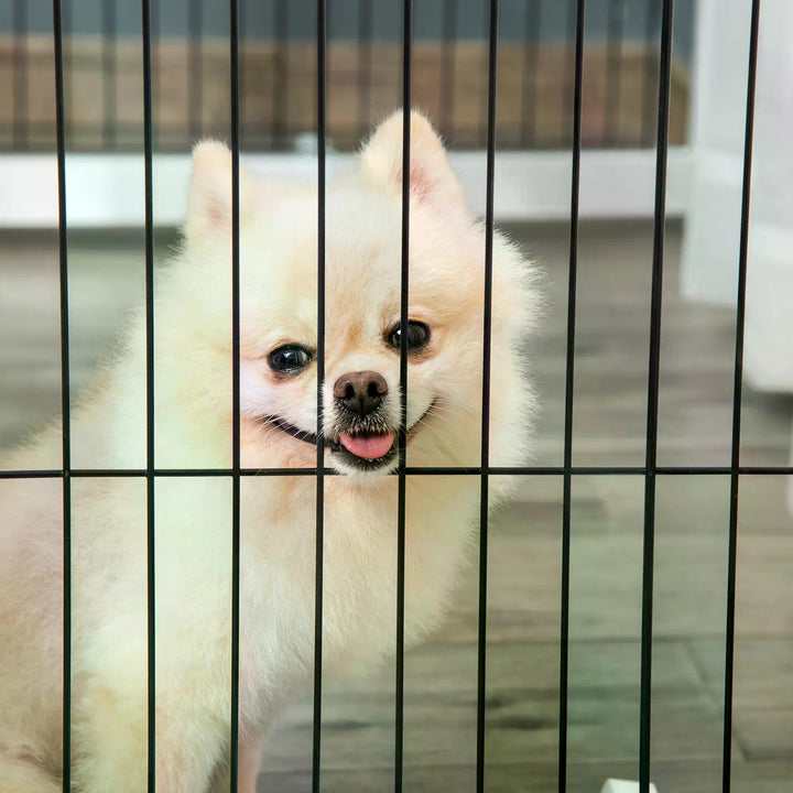 Dog Gate Wooden Foldable Small & Medium-Sized Pet Gate 4 Panel w/ Support Feet Pet Fence Safety Barrier for House Doorway Stairs