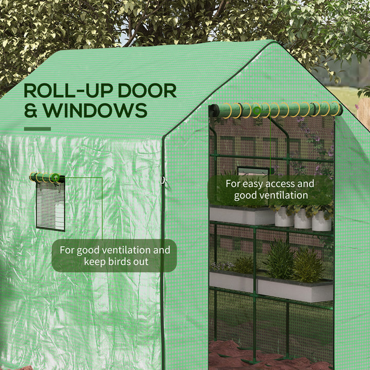 Greenhouse Oasis: Walk-In PE Cover with 3 Tier Shelves