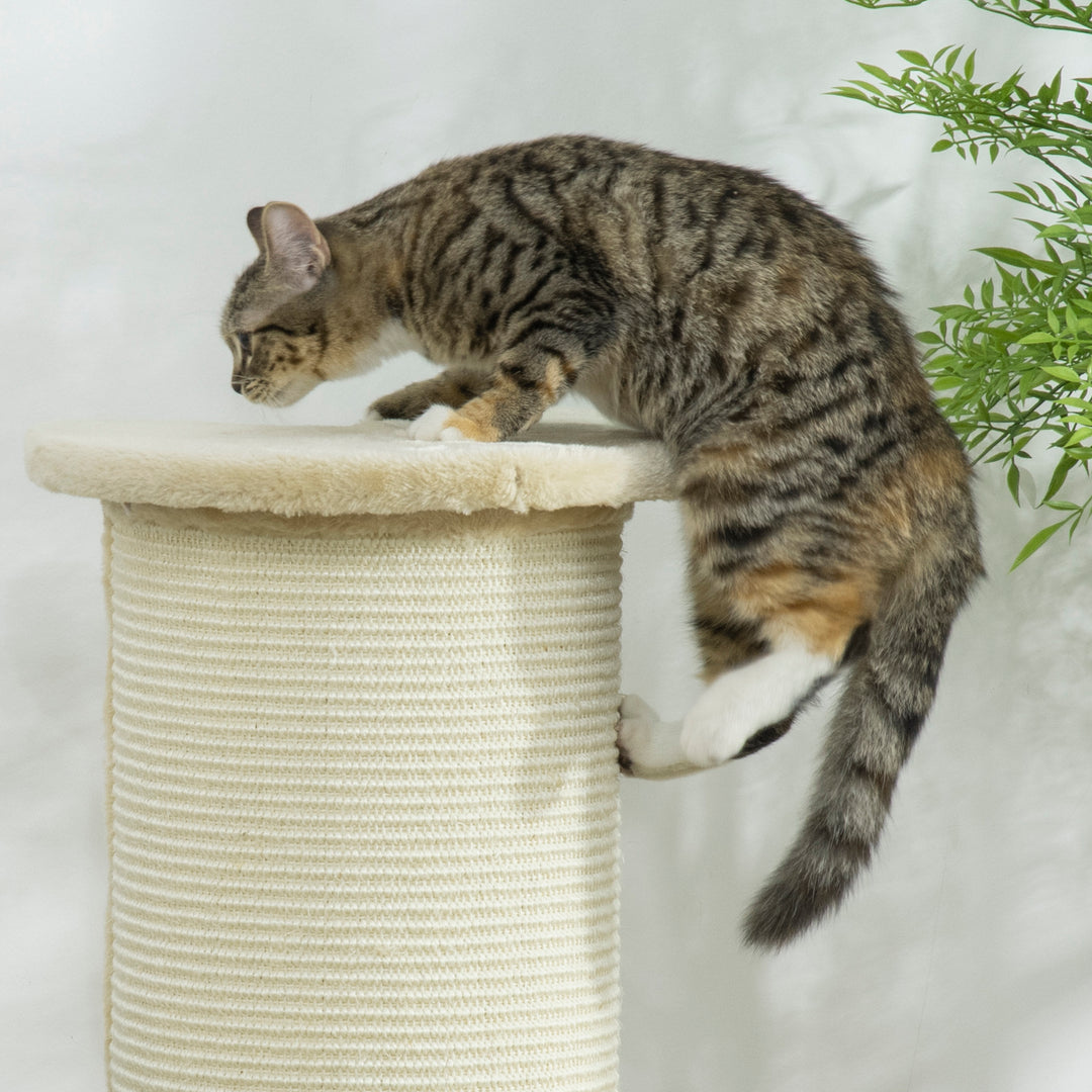 Cat Scratching Post: 85cm Tall with Sisal Rope