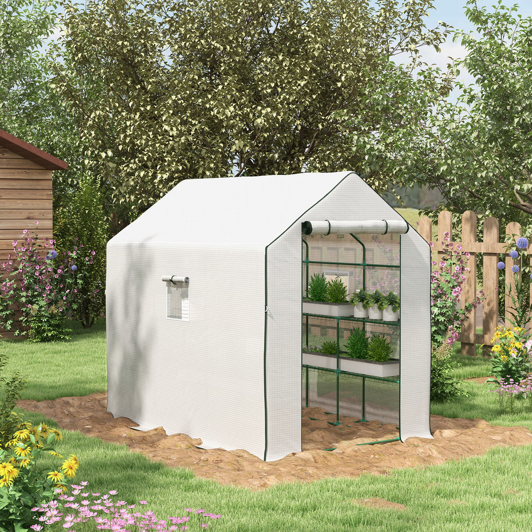 Walk-in Greenhouse with PE Cover