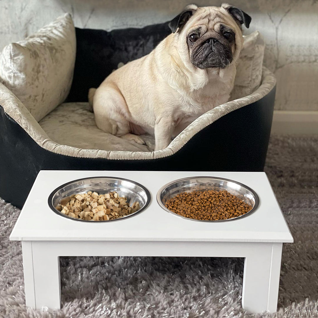 Stainless Steel Pet Feeder