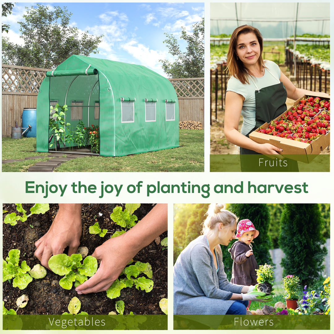 Walk in Polytunnel Greenhouse with Windows and Door for Garden