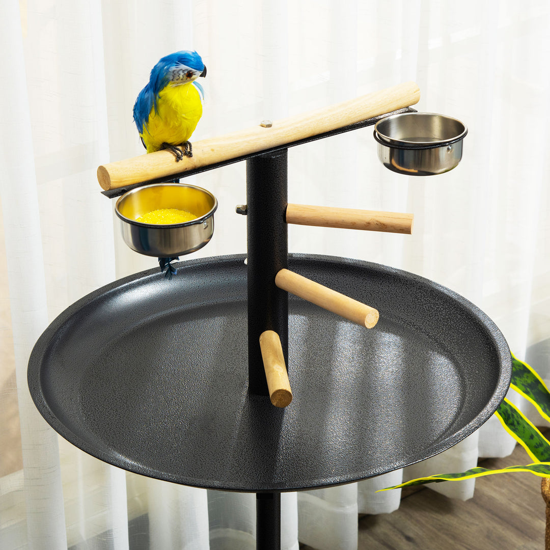 Metal Bird Table Play Stand