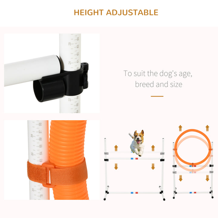 3 Piece Dog Agility Training Set