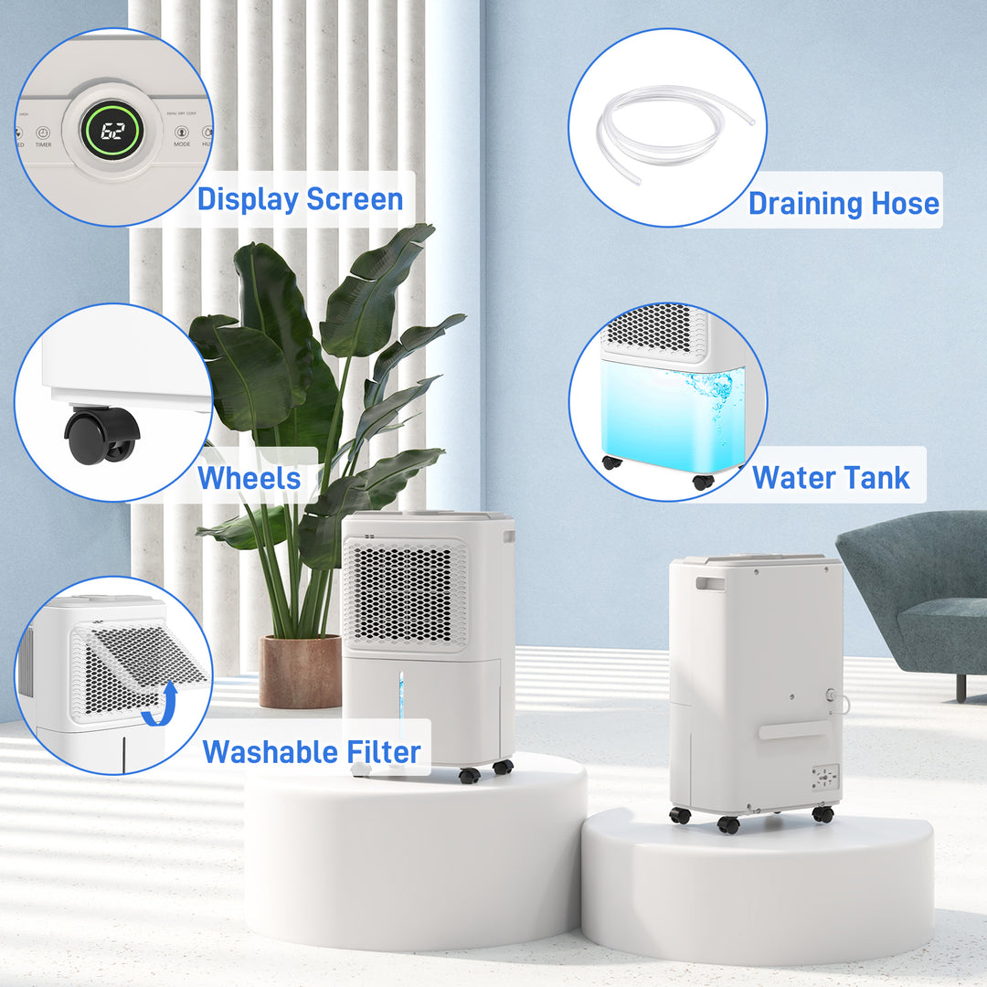 12L/Day Air Purifier Dehumidifier with Continuous Drainage