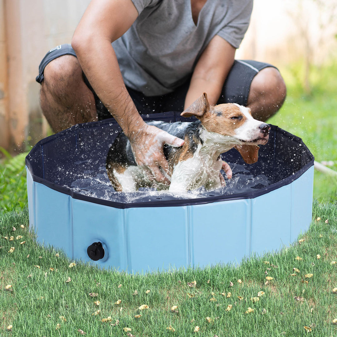 Pet Swimming Pool