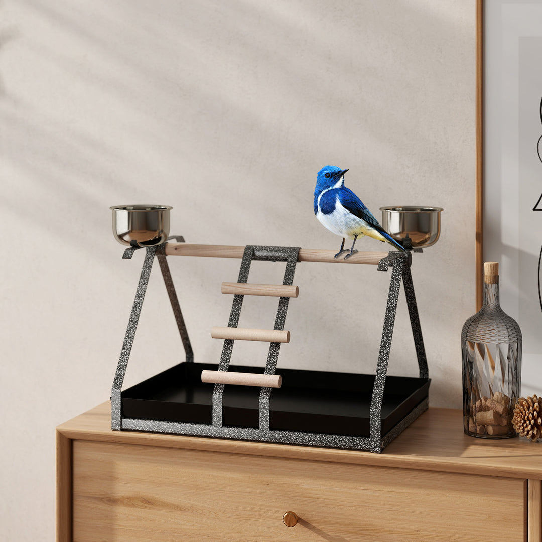 Bird Play Stand