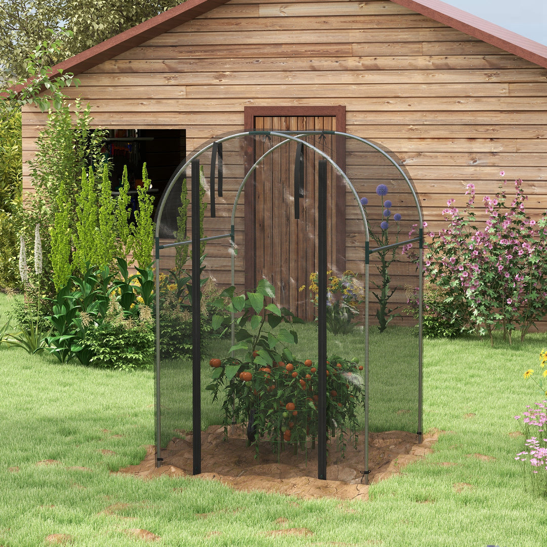 Galvanised Steel Fruit Cage