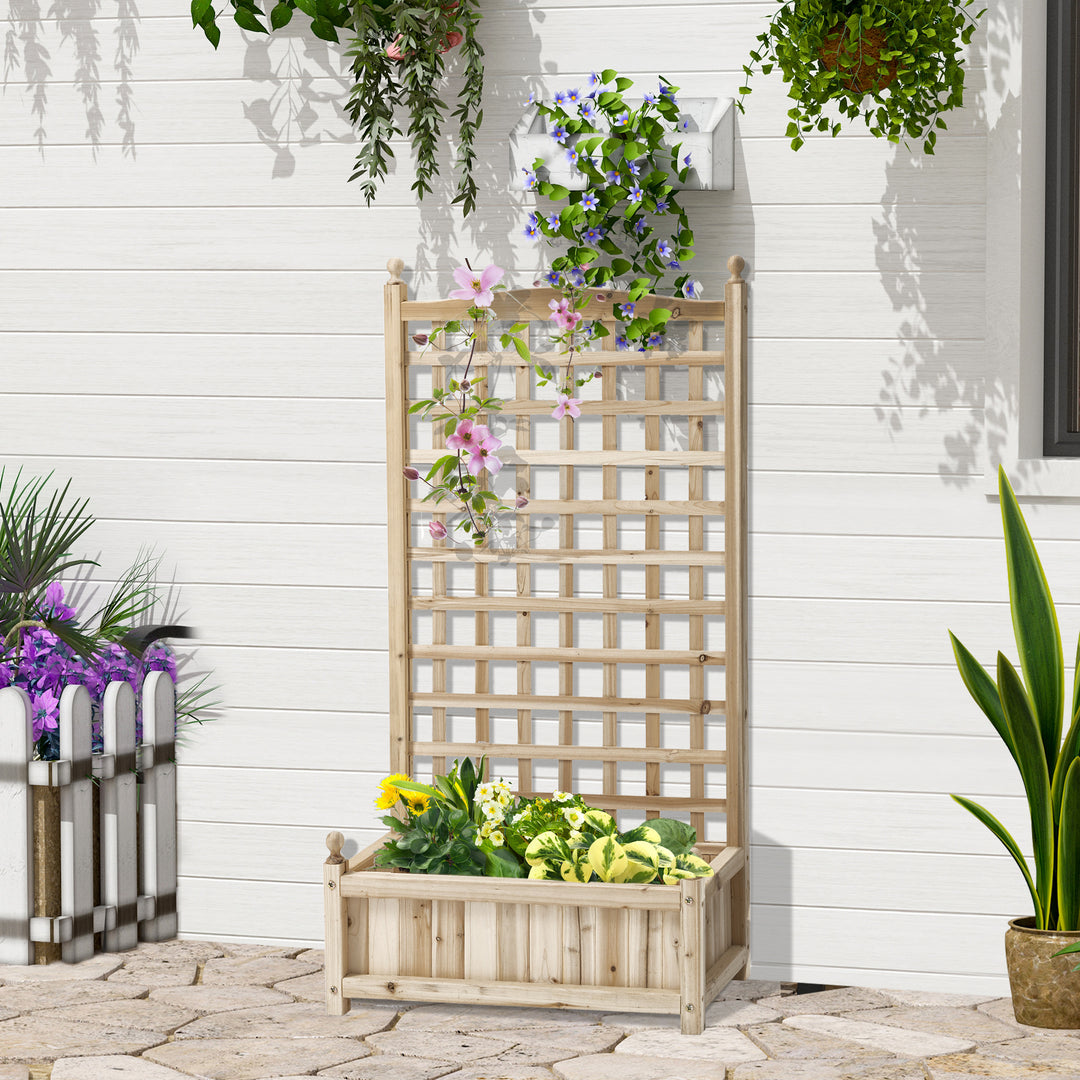 Garden Planters with Trellis for Climbing Vines