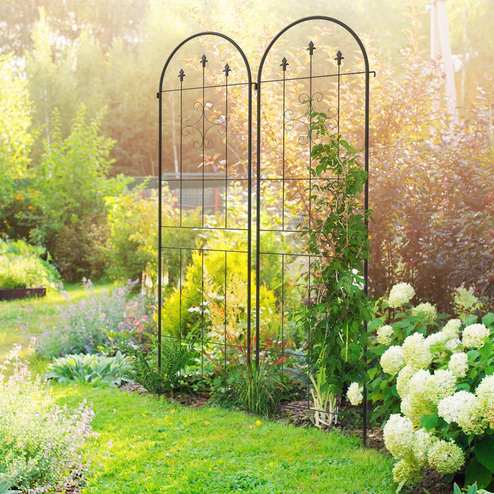 Metal Trellis Set of 2