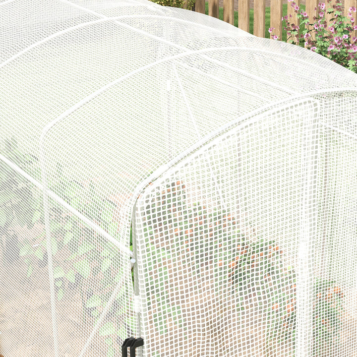 Polytunnel Greenhouse Walk-in Grow House with UV-resistant PE Cover