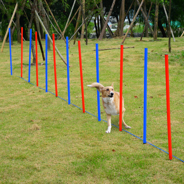 Comprehensive Pet Agility Training Set