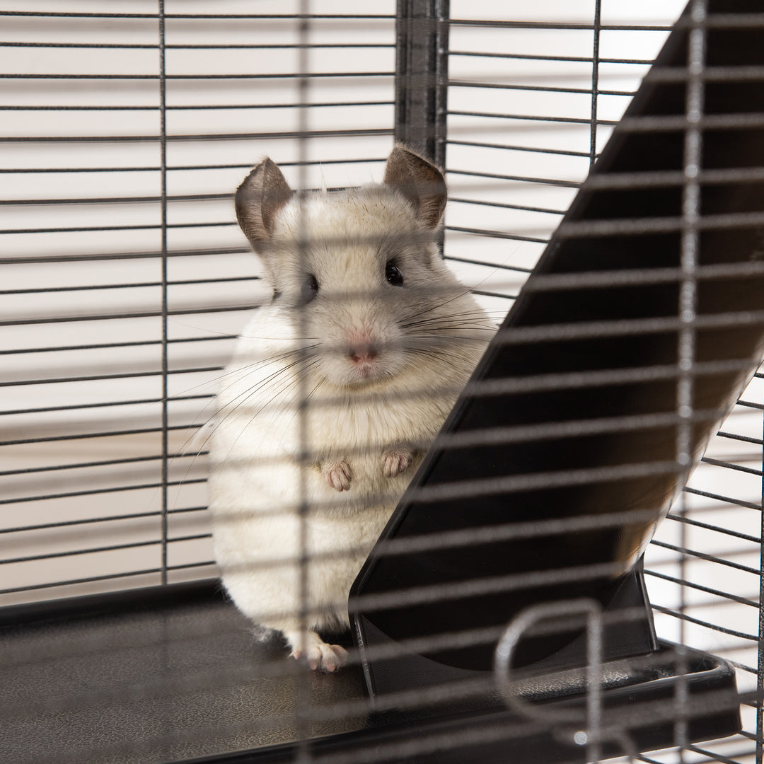 Small Animal Cage with Wheels Pet Home for Chinchillas