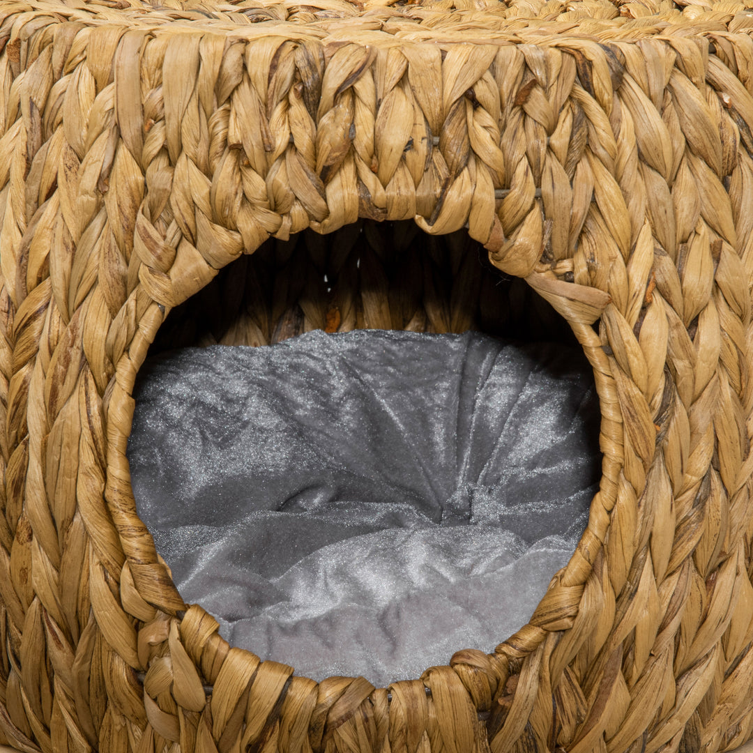 Rattan Retreat: Wicker Cat Abode with Plush Cushion