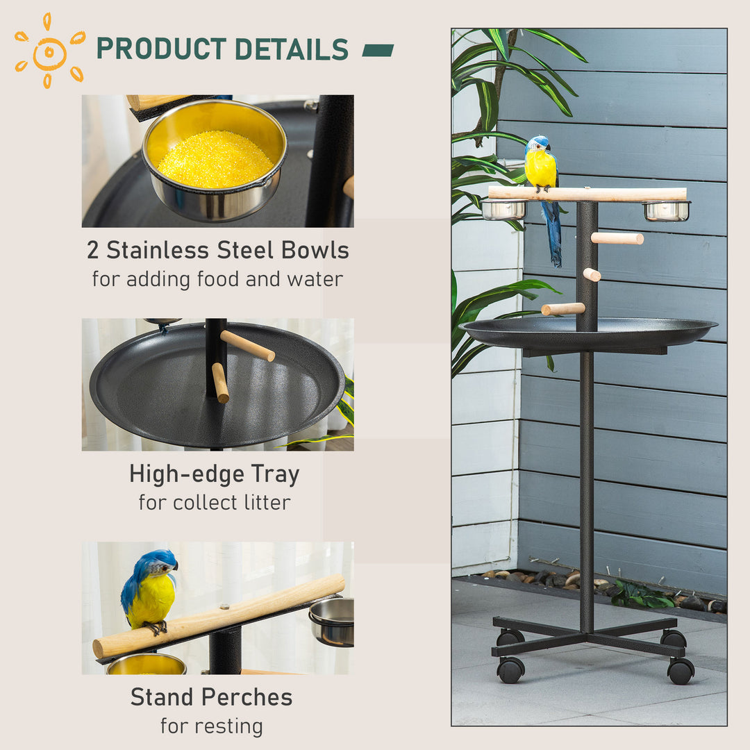 Metal Bird Table Play Stand