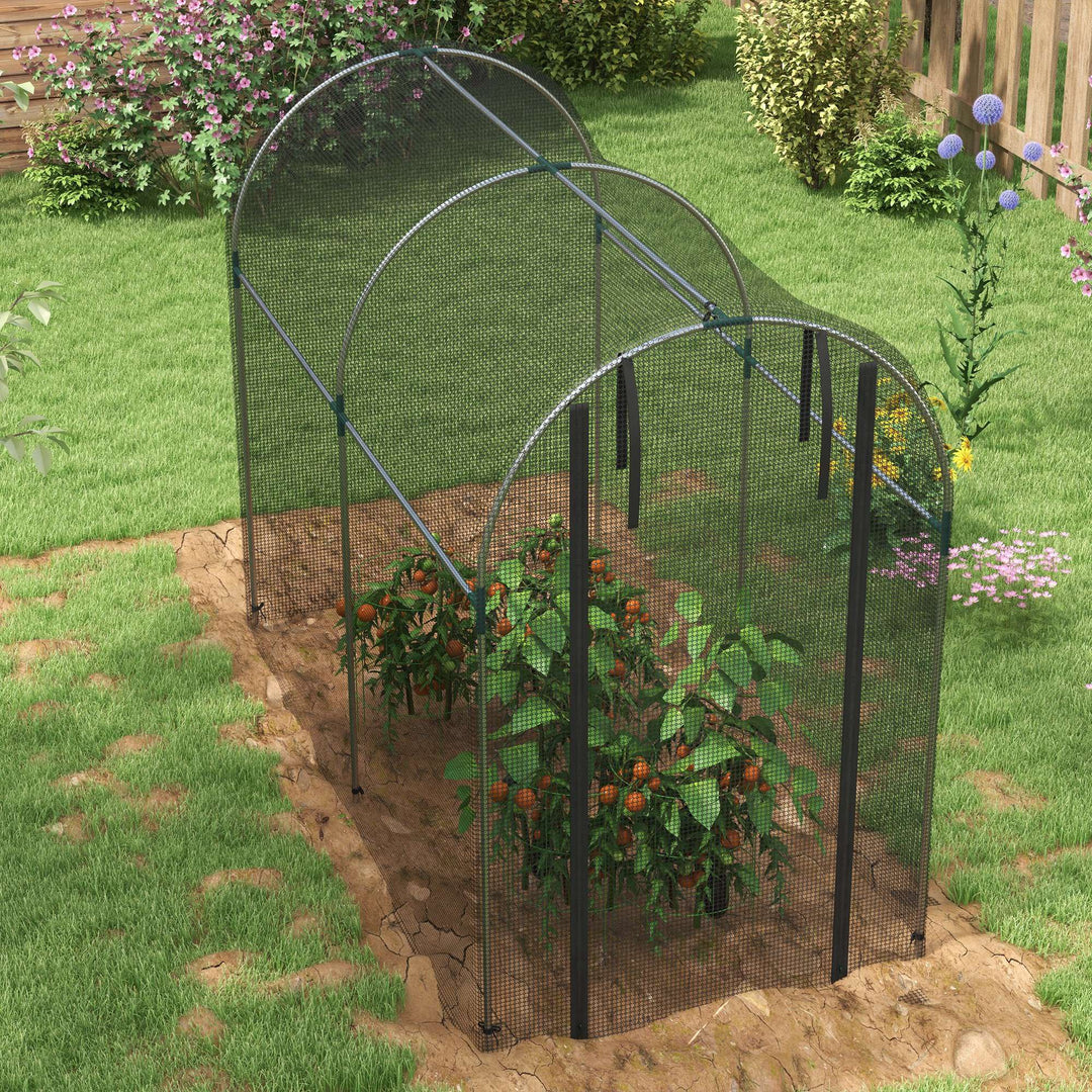 Galvanised Steel Fruit Cage