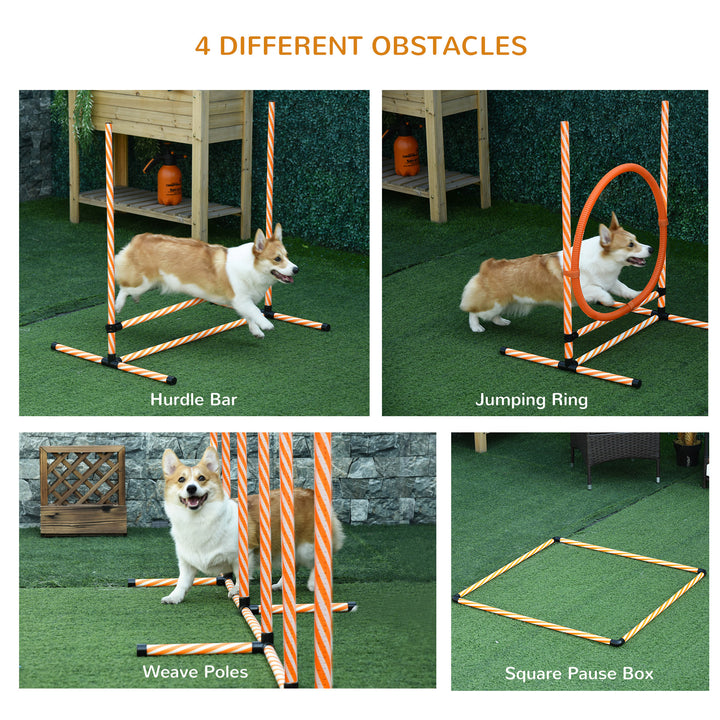 Dog Agility Training Kit