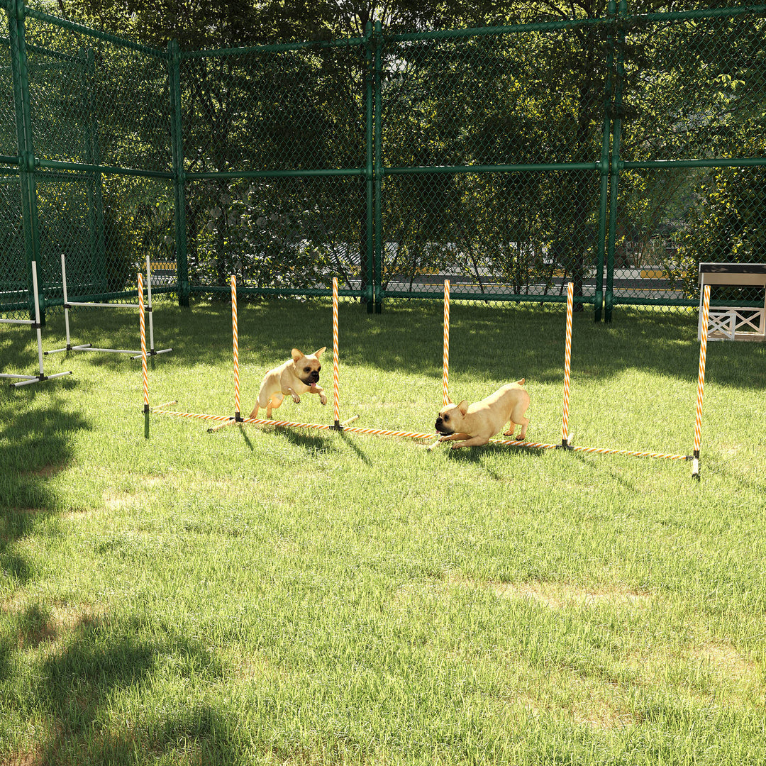 Dog Agility Training Set