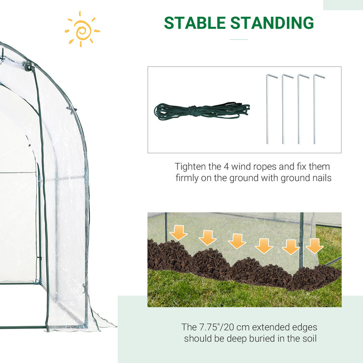 Walk-in Polytunnel Greenhouse with Roll-up Door Transparent Tunnel Greenhouse with Steel Frame and PVC Cover