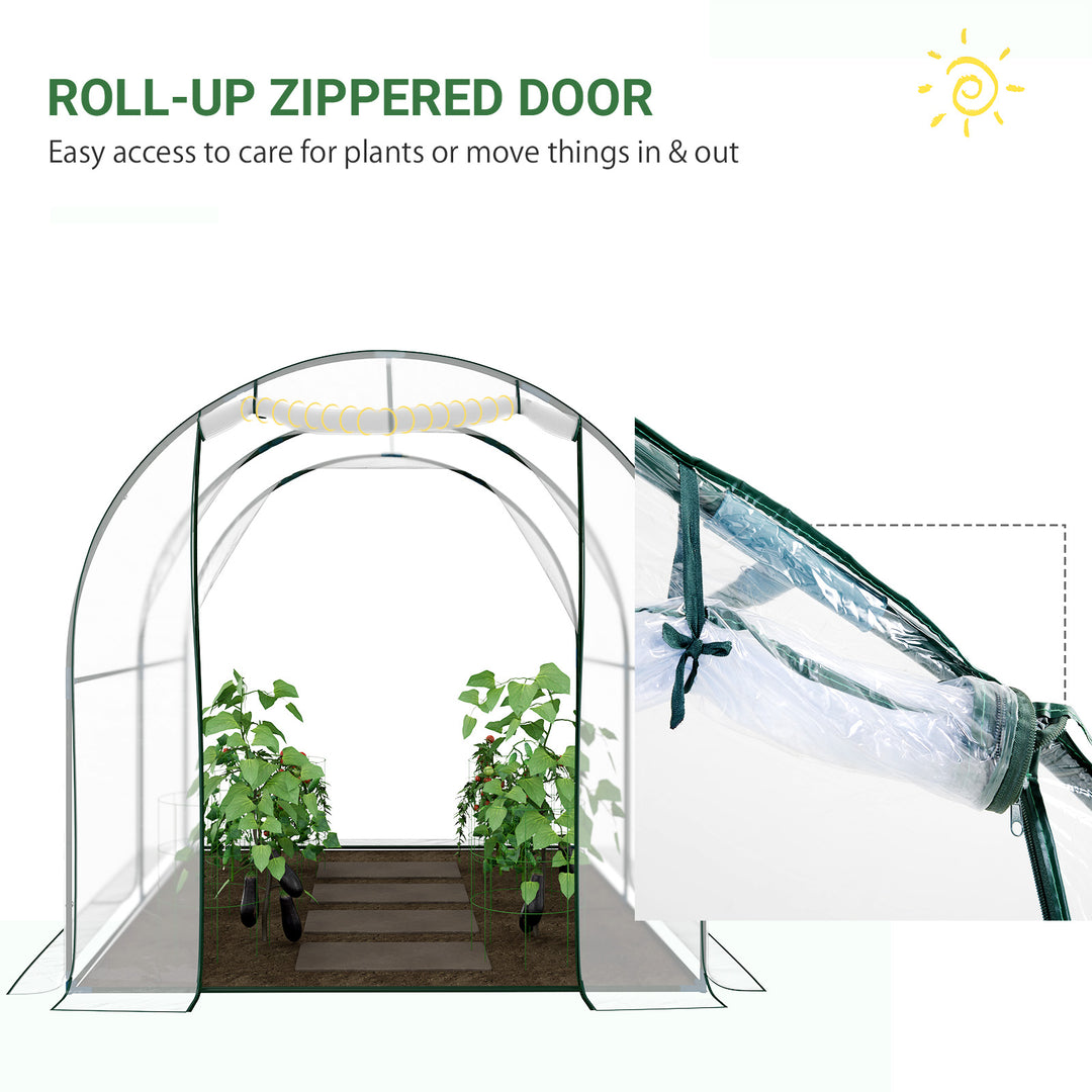 Walk-in Polytunnel Greenhouse with Roll-up Door Transparent Tunnel Greenhouse with Steel Frame and PVC Cover