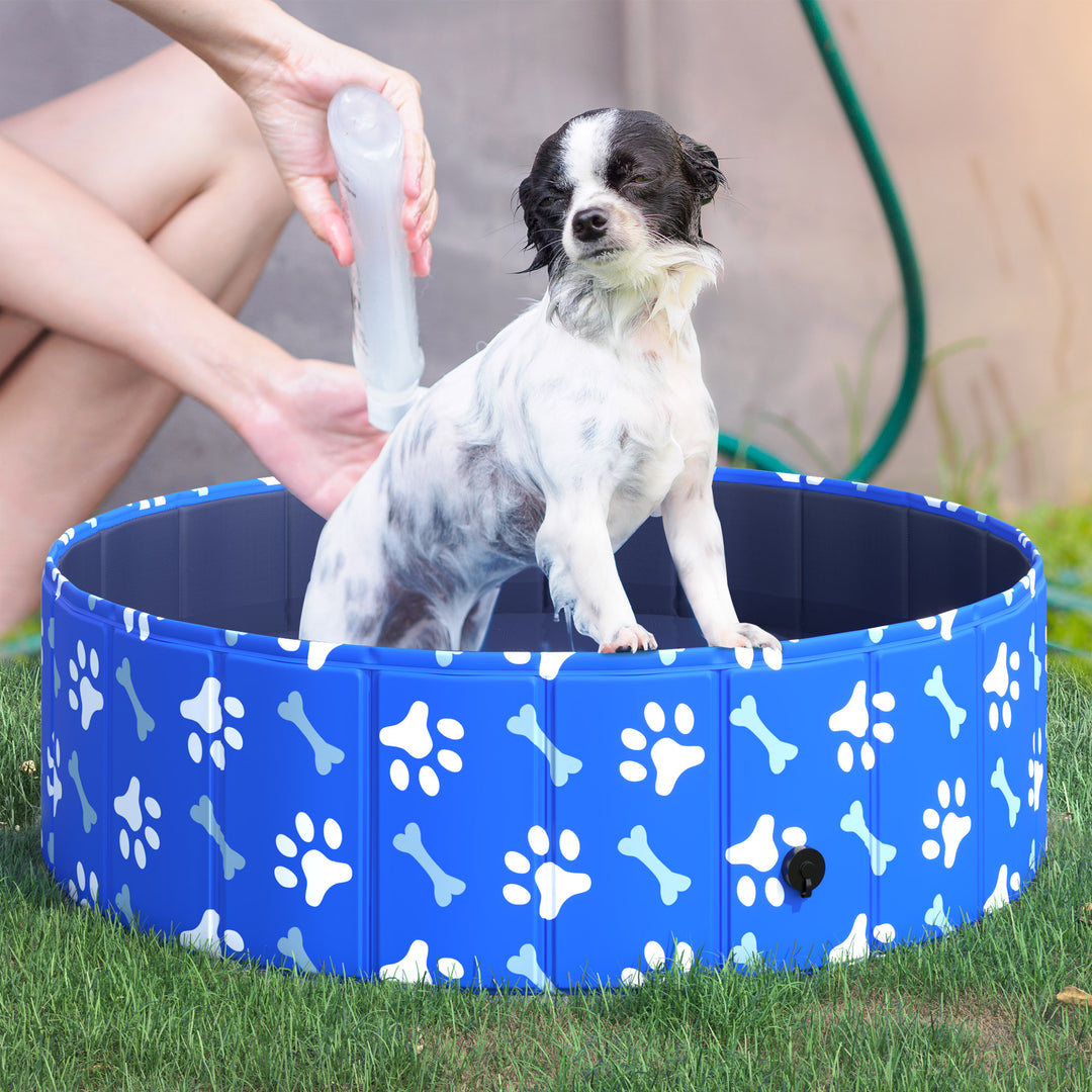 Dog Swimming Pool