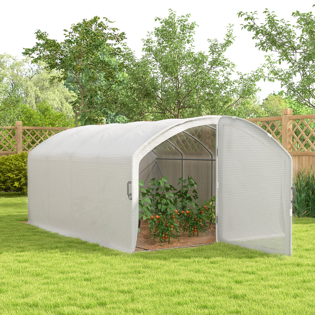 Polytunnel Greenhouse Walk-in Grow House with UV-resistant PE Cover