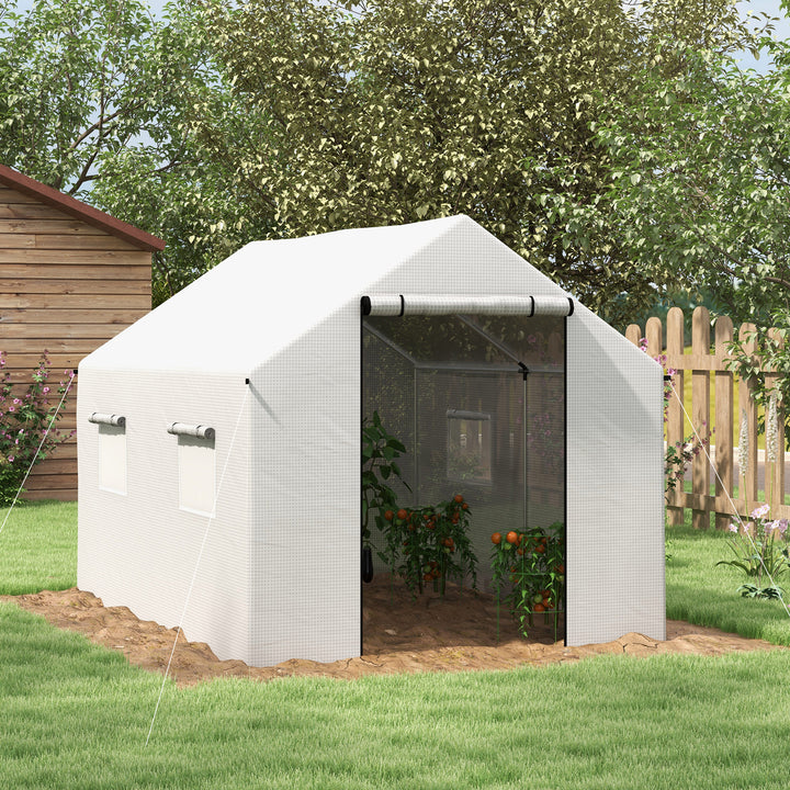 Polyethylene Walk-in Polytunnel Greenhouse