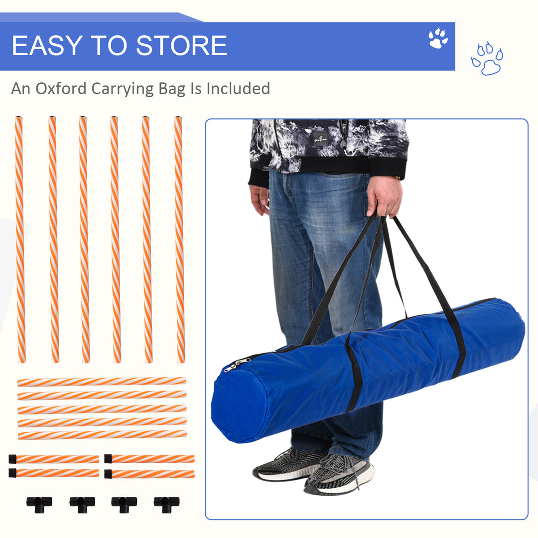 Dog Agility Training Set